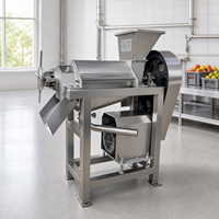Industriële Appel-Ananaspersmachine SUS 304 Spirale Sapcentrifuge 220V Hoge Productiviteit Kokosmelk
