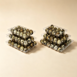 Barquettes à œufs <span class=keywords><strong>en</strong></span> plastique transparent, capacité pour œufs de caille, design empilable pour un stockage et un transport sécurisés pour les fermes, les épiceries et l'usage domestique - Product Image 5