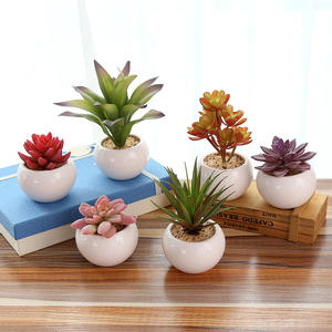 Miniplantas suculentas artificiales surtidos, con macetas para decoración del hogar, planta de aloe <span class=keywords><strong>vera</strong></span> artificial para interior, <span class=keywords><strong>en</strong></span> macetas de cerámica - Product Image 3