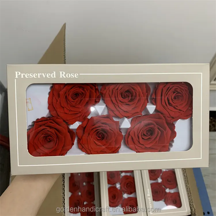 QSLH Ti465 Valentines Everlasting 6 Blumen köpfe mit Box Rose Geschenk konservierte Rosen Großhandel Schönheit Ewige konservierte Blume