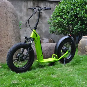 New Cheap Adult Off Road 250 500w Foldable Roller Mobility E Electro E-scooter Electric Scooter