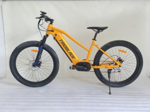 Vélo électrique de qualité supérieure de 26 pouces avec moteur et cadre en acier pour adultes - Product Image 2