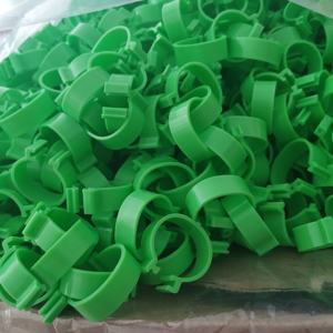 ห่วงขาไก่ทำจากวัสดุพลาสติกมีหลายขนาดและมีสีสัน - Product Image 3