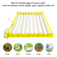 Plateau d'incubation en plastique pour œufs, plateau à œufs à roulettes, plateau pour 56 œufs de poule, pour poulets, canards, oies, dindes, autruches et cailles