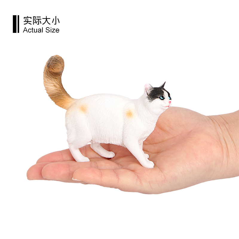 3660 Gatto somalo