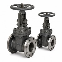 Katup Gerbang Segitiga Flens RF Rising Stem Handwheel A216 WCB Kelas 300 API 600 API 598 untuk Pipa Uap Pembangkit Listrik Langsung dari Pabrik