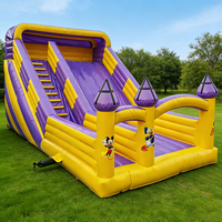 Douerfei - Château gonflable commercial Mickey Mouse et Donald Duck avec toboggan, en PVC écologique, capacité 300 kg, pour 5 à 15 personnes