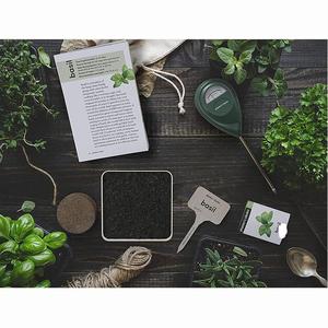Kit completo <span class=keywords><strong>de</strong></span> cultivo <span class=keywords><strong>de</strong></span> hierbas para jardín <span class=keywords><strong>de</strong></span> interior, juego único <span class=keywords><strong>de</strong></span> albahaca, cilantro, <span class=keywords><strong>cebollino</strong></span>, <span class=keywords><strong>brotes</strong></span> <span class=keywords><strong>de</strong></span> perejil, fácil <span class=keywords><strong>de</strong></span> cultivar para uso doméstico - Product Image 4