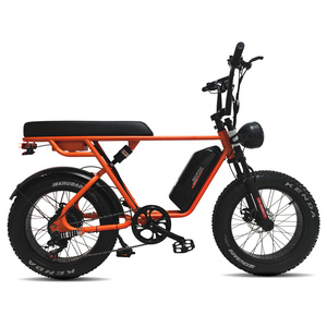 <span class=keywords><strong>Bicicleta</strong></span> Eléctrica de Ratán al por Mayor, <span class=keywords><strong>Bicicleta</strong></span> Eléctrica con Batería de Litio de 48v 750w - Product Image 5