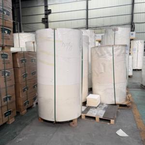 Rouleau de papier biodégradable et durable pour fond de conteneur, imprimé flexo, largeur personnalisée, matière première pour fond de conteneur en papier jetable - Product Image 2
