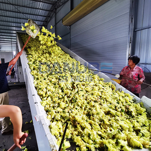 Séchoir à granulés de biomasse à bande transporteuse certifié qualité pour Sunset Muskmallow, machine de séchage de Sunset Muskmallow - Product Image 4