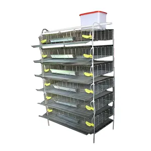 A type galvanized wire quail cage and water system chicken cage Broiler Chicken cage