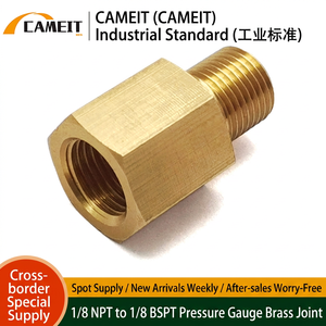 อะแดปเตอร์เซ็นเซอร์วัดแรงดันน้ำมันเชื้อเพลิงรถยนต์ 1/8" NPT ตัวเมีย x 1/8" BSPT ตัวผู้ ข้อต่อทองเหลืองหกเหลี่ยม สำหรับดัดแปลงรถยนต์ - Product Image 2