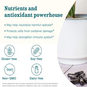 Hete Aanbieding Nutrtech Antioxidanten <span class=keywords><strong>Acai</strong></span> Berry <span class=keywords><strong>Capsules</strong></span> Bulk Vegetarisch Immuunsysteem Ondersteuning Dieetsupplementen voor Volwassenen - Product Image 4