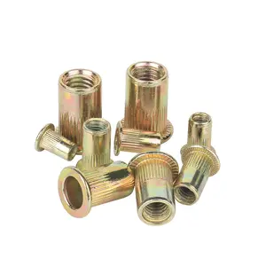 Customized Flat Head Vertical Zinc Plated Galvanized Stainless Steel Carbon Steel Hex Self Clinching Rivet Nut For Mounting