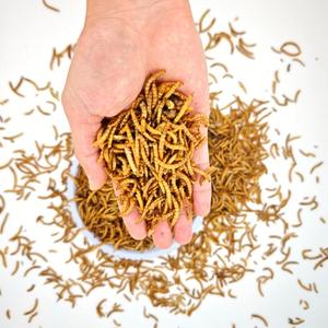 Mangime 100% Naturale ad Alto Contenuto Proteico Nutriente per Pesci Ornamentali e Pollame Larve di Tarme Essiccate in <span class=keywords><strong>Bulk</strong></span> - Product Image 1