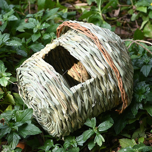 Wren Nest Fiber Bird Hideaway Sparrow House Tejido a mano Pequeñas casas <span class=keywords><strong>de</strong></span> pájaros colgantes Colibrí Niding Chickadee House para Finch - Product Image 5