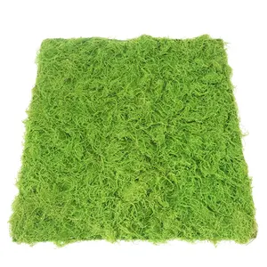 New Design Background Green Wall Art Moss Flocking Carpet Mini Landscape Moss Turf Panel