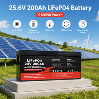 Batterie solaire rechargeable intelligente JBD BMS personnalisable en gros 12V 24V 36V 48V 100Ah 200Ah 300Ah 400Ah 600Ah pour stockage d'énergie