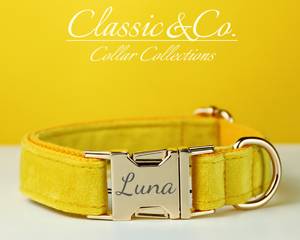 Collar y Correa Personalizados para Perro Veet Amarillo con Lazo Floral y Placa Grabada Silenciosa con Nombre, Regalo para Cachorros de Boda (Pequeño/Mediano/Grande) - Product Image 3