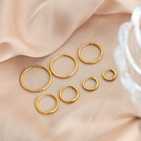 Licht luxe titanium staal vergulde creolen niche grote kleine cirkel dames high-end oorbellen mode dames oorringen