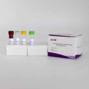 Hoch empfindliches fluor zieren des PCR-Kit zur präzisen Erkennung von Pasteur ella multocida bei Schweinen - Product Image 6