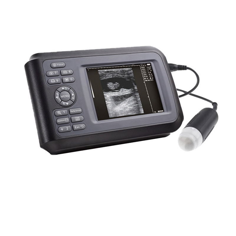 All in One Portable 15 inch