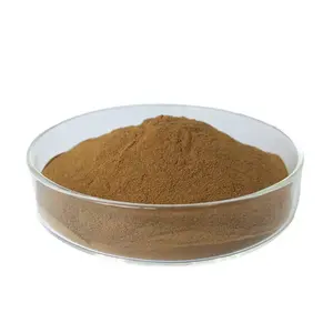 Hot Sale Astragalus Extract Powder Astralagus Root Powder Astragalus Powder