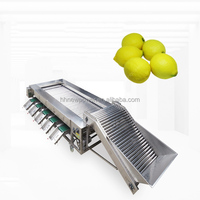 Kleine Kiwi Komkommer Sorteermachine Automatische Abrikoos Granaatappel Sorteermachine Pecannoten Roller Sorteermachine