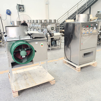 Machine à éplucher l'ail automatique 150 kg/h avec séchage intégré pour usine alimentaire, avec éplucheur d'ail