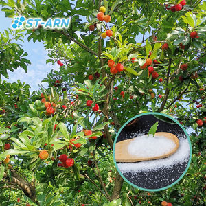 ไฮโดรเจล SAP โพลิอะคริเลตโพแทสเซียมชนิดเม็ด สารดูดซับน้ำพิเศษสำหรับพืช - Product Image 4