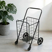 Chariot de magasin pliable portable sur mesure de 40 kg pour les supermarchés, pour un usage domestique, avec support en plaque de fer au fond