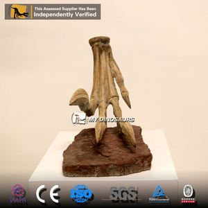 Dinosaurio Educativo My Dino DS055, Fósil de Dinosaurio Prehistórico, Modelo de Esqueleto de Velociraptor con Garras, en Venta - Product Image 4