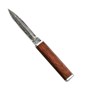 Couteau en acier Damas Follow The Wind, lame de 99 mm, manche en ébène, couteau d'extérieur pour le camping et la cuisine - Product Image 5
