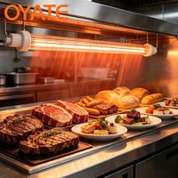 Ampoule chauffante infrarouge halogène au quartz OYATE 300w 240v 218mm