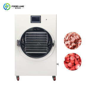 Heim-Gefriertrockner Vakuum-Gefriertrocknungsmaschine Mini-Vakuum-Gefriertrockner - Product Image 3