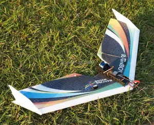 Gratis Verzending Rc Vliegtuig Epp Vliegtuig Model Dw Hobby Fly Wing 800Mm Spanwijdte Edf Versie Rc Vliegtuig Kit