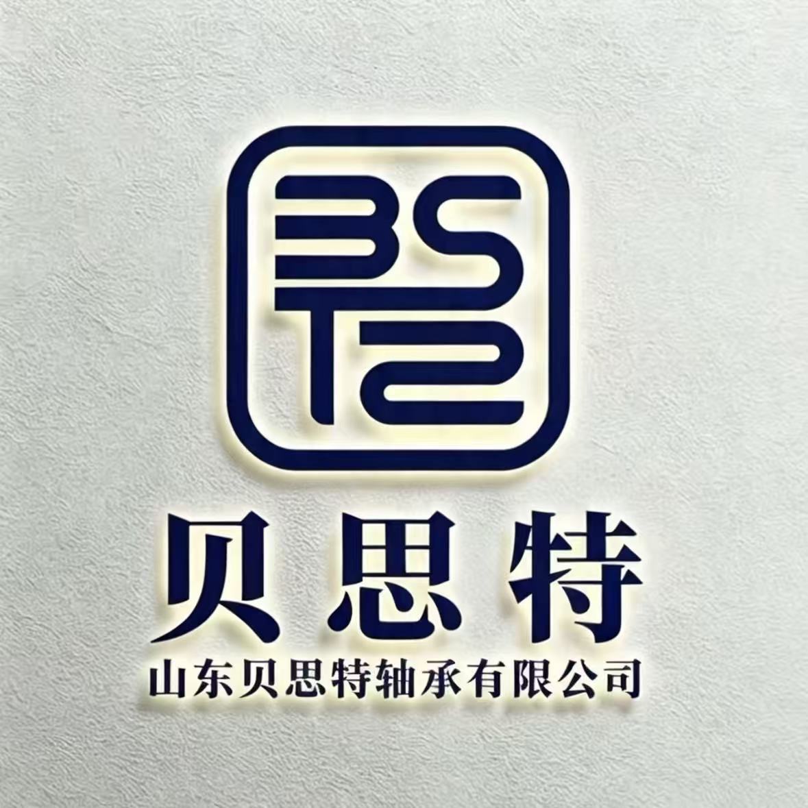 Shandong Best Bearing Co., Ltd. logo