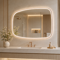 Miroir de salle de bain LED à cadre irrégulier avec éclairage avant et arrière, miroir de vanité anti-buée, 3 couleurs réglables, fonction mémoire