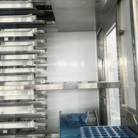 Machine à Snacks Entièrement Automatique Nouvelle Génération, Machine à Bonbons, Ligne de Production d'Aliments pour Chats et Chiens - Vente Flash