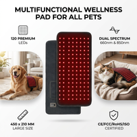 Tapis de luminothérapie LED portable à double longueur d'onde (660nm 850nm) pour animaux de compagnie, soulagement de la douleur pour le corps, les mains et les pieds OEM ODM