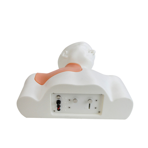 Modelo <span class=keywords><strong>de</strong></span> Entrenamiento para Acceso Venoso Central Guiado por Ultrasonido Scalptek IG017-S1, Cabeza, <span class=keywords><strong>Cuello</strong></span> y Hombros Completos, <span class=keywords><strong>Vasos</strong></span> IJV, Subclaviarios y Axilares - Product Image 3