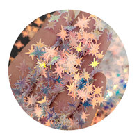 Paillettes de couleur AB pour l'arthrite des ongles, lettres étoiles, licornes, feuille de fleur, flocon de neige, Paillettes, Slime