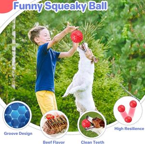 Pelota de Goma Resistente para Perros, de Lujo, con Diseño de Panal de Abeja, No Tóxica, Gruesa, Impermeable, Interactiva, Indestructible, Juguete para Masticar - Product Image 2