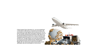 <span class=keywords><strong>20</strong></span> Jaar Internationale Logistieke Ervaring, Ddu/Ddp Luchtvrachtdiensten, Europees Expeditie - Product Image 5