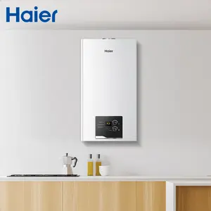Haier Wall Mounted Advanced Technology 33kg Natural Gas Heating Room Thermostat Fired Pressure Steam Boiler