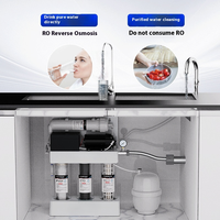Sistem Pemurni Air RO Reverse Osmosis 5 Tahap Elektrik/Manual Aliran Tinggi Dua Outlet untuk Rumah Tangga