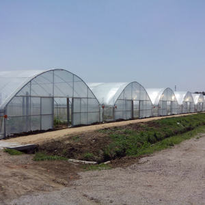 Vente agricole : Serre en polycarbonate pour jardin, culture de champignons à vendre - Product Image 6