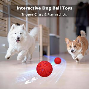 Jouets interactifs automatiques <span class=keywords><strong>pour</strong></span> animaux de compagnie, résistants à l'eau IP54, durables, balles <span class=keywords><strong>pour</strong></span> chiens de petite, moyenne et grande taille - Product Image 5