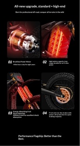 Cloud <span class=keywords><strong>Leopard</strong></span> XE <span class=keywords><strong>PRO</strong></span> S Arctic <span class=keywords><strong>Leopard</strong></span> 100KM 64V Moto Elettrica Fuoristrada per Esplorazione - Product Image 6